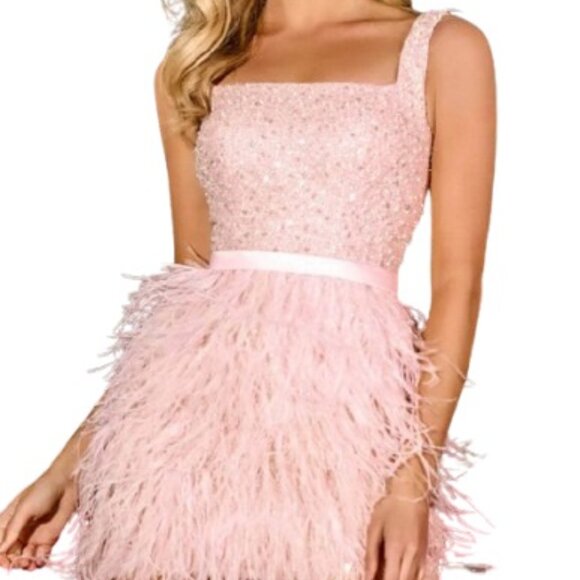 Portia and Scarlett Dresses & Skirts - NWT Portia and Scarlett PS24022 Feathered Homecoming Dress Pink Size 0
